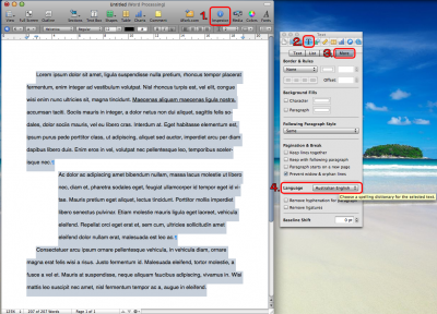 pages1